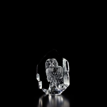 4659 uil bosuil tawny 33602 cat owl