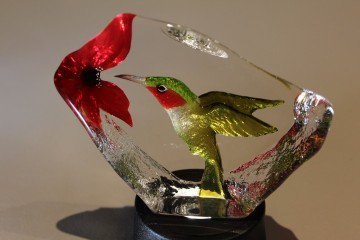 4663 kolibrie 2020 04 16 145038